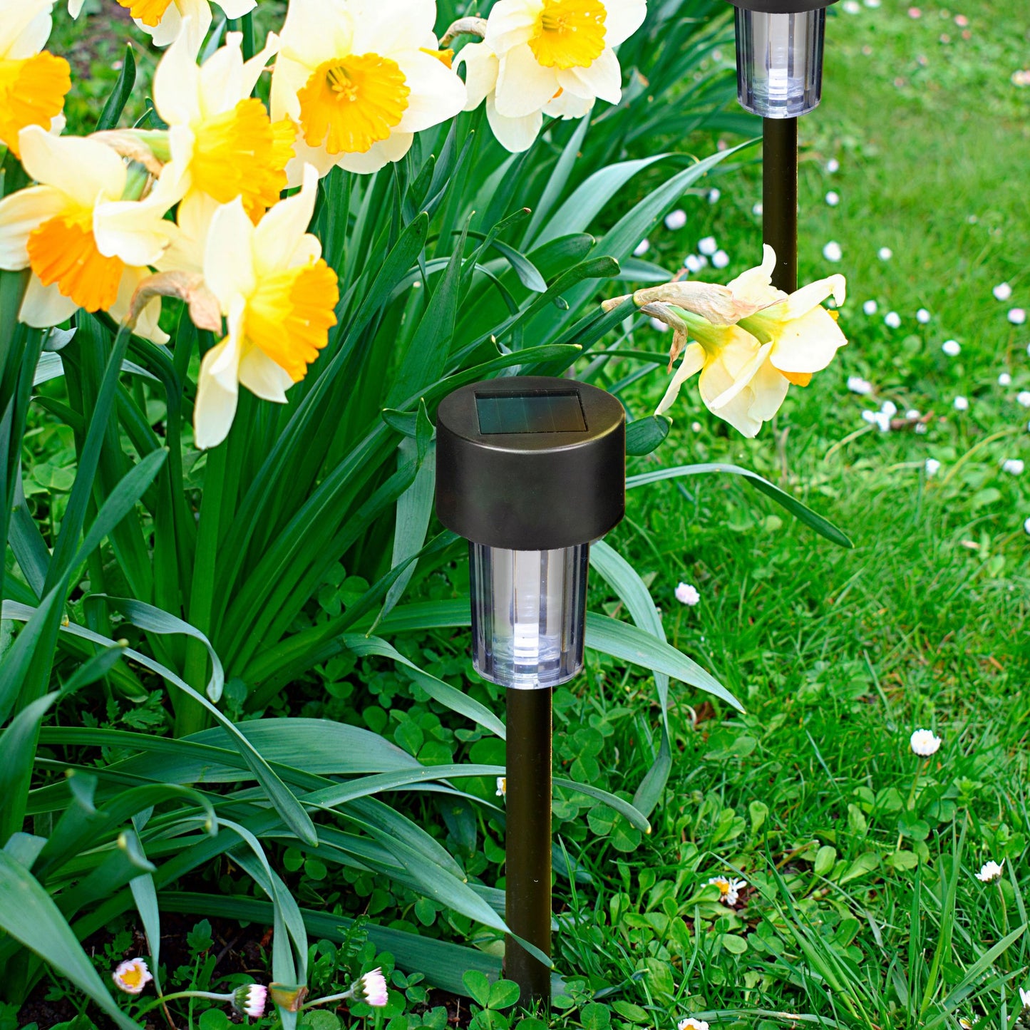 10PK SOLAR GARDEN LIGHTS