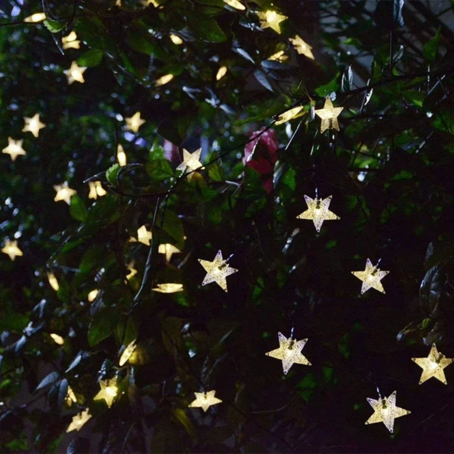 36FT STAR STRING LIGHTS