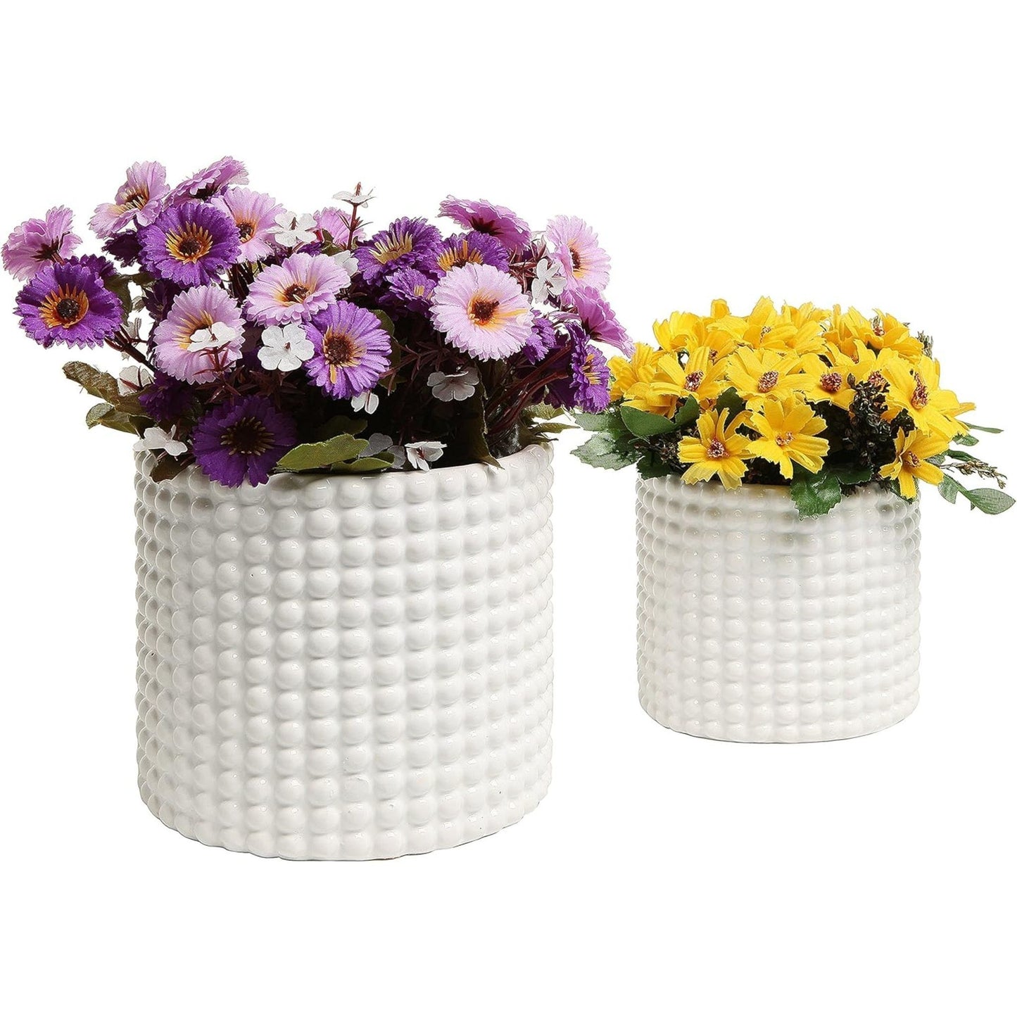 SET OF 2 CERAMIC PLANT POTS
