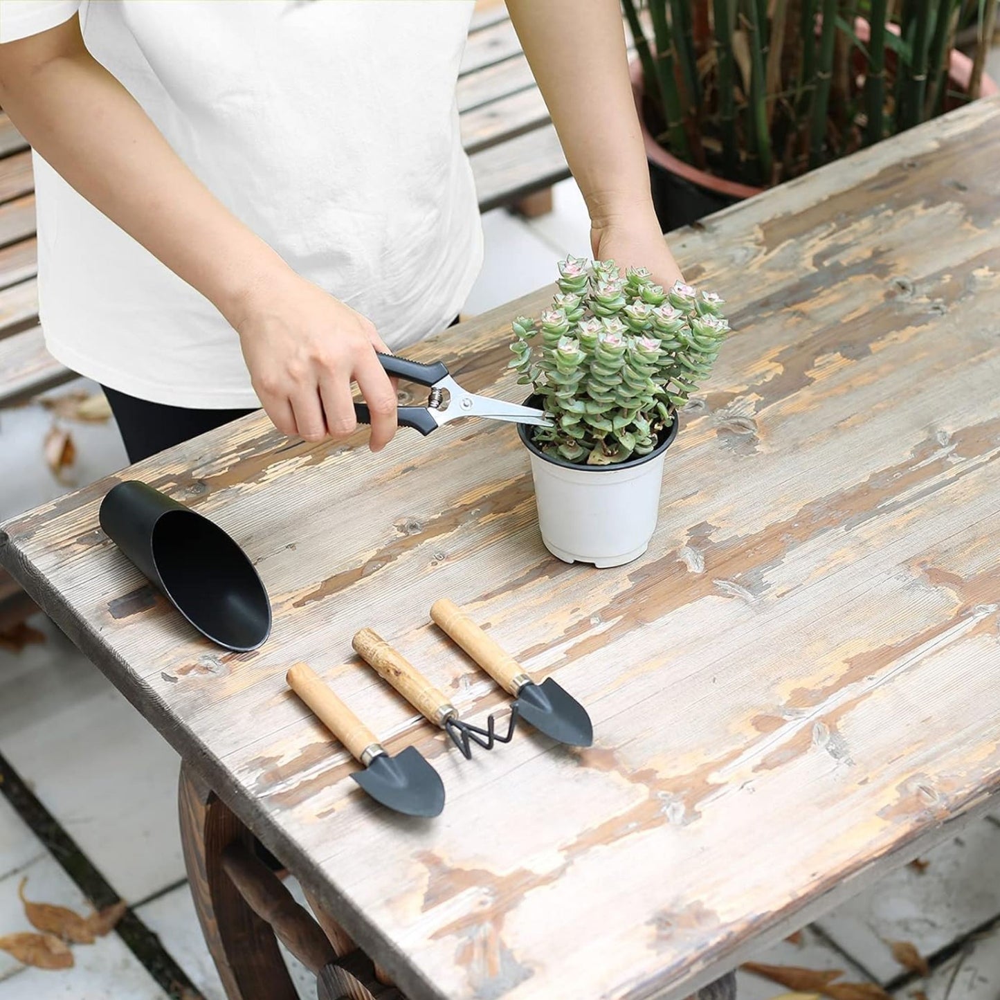 MINI MODERN INDOOR GARDEN TOOL SET